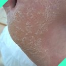 레푸스 평택소사벌점 이미지