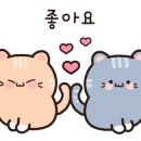 카페 레스토랑 날마다좋은날 네이버블로그