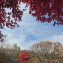 조안 농장 이미지