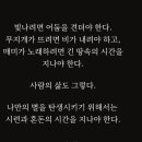 괴물이 되어가는 인간들 이미지
