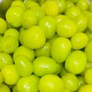 풍납동성당 | 서울 송파 학교 선생님 교내간식 교내연수 행사 샌드위치 간식다과박스 배달가능