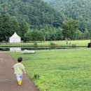 오리들2길 이미지