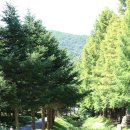 미동산수목원 이미지