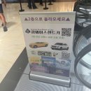 에이스카프라자 이미지