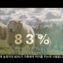 채식과환경 네이버블로그