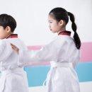 액티브경희태권도장 이미지