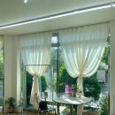 탐나네일 | [제주시 네일] 아라동 이달의 아트 맛집, 네일탐나 (젤네일 회원가:2만원)