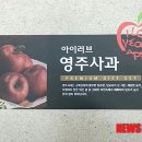 풍기지방특산물