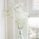 선물같은 하루 이미지