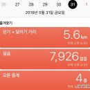 블링수 이미지