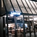 레이지캣(lazycat) 이미지