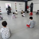 경희대효태권도1