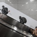 버스정류장(용산역1번출구) 이미지