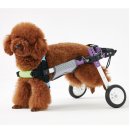 분당다원동물병원 이미지