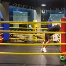 SP복싱무브먼트 이미지