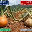 부농원 농약사 이미지