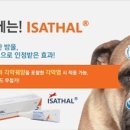 영주약국 이미지