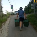 아놀드짐 이미지