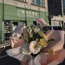 반려식물 다육이 관리법과 테라리움 원예 | [첨단꽃집] 365일 언제든 예쁜 꽃을 만나는 곳, ✨️더나은꽃집✨️ 솔직 후기