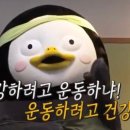 맥스짐 이미지