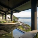 시트론(Citron) 이미지