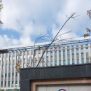 정태영 행정사 이미지