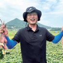 황금유통영농조합법인 이미지