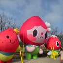 ㅋㅋㅋ | 2026 논산딸기축제 다녀온 뒤늦은후기와 내년에 다시갈 나를 위한 참고용후기 ㅋㅋㅋ