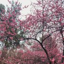 시립미술관(팔각정) 이미지