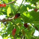 온수골농장 이미지