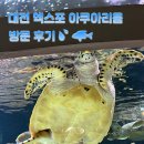 대전관광공사 노동조합 | [대전관광공사 마이스크루 3기] 대전 엑스포 아쿠아리움 방문 후기 🌊💦 | 물고기 로봇도 있다고 ?! 🤖🐠