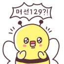 포메민박 이미지