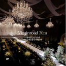 라비에벨 이미지