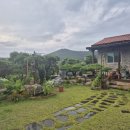 빨강지붕 민박 이미지