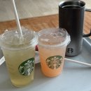 선재약국 이미지