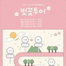 스타노래방 | 버스카버스카 대구 벚꽃투어 후기