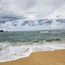 나나애견 | 속초 애견동반카페 나나도그 내돈내산