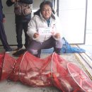 개미낚시터 이미지