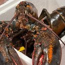 CW-1976-01 이미지