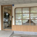 비키펫 살롱 이미지