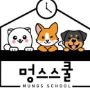 멍스라이프 이미지