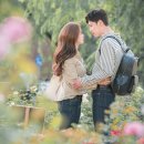 홀릭 이미지