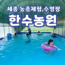 한수농장 | 세종 아이와 가볼만한곳 ‖ 한수농원 : 농촌체험 + 수영장 + 놀거리 까지 가능!