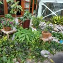 물꽁오리 이미지