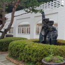 이다의숲 이미지