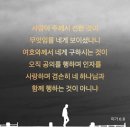 주 미가 이미지