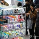 국제K뷰티협회/K뷰티뉴스 이미지