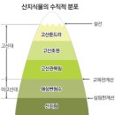 솔트라인 이미지