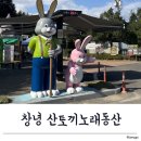 산토끼노래동산 | 대구 근교 18개월 아기랑 가볼만한 곳 창녕 산토끼노래동산
