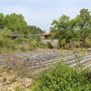 용산1농로 이미지